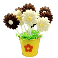 Daisy Sucker