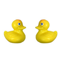 Chocolate Ducky