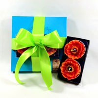 Poppy Candles