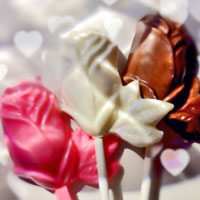 Chocolate Roses