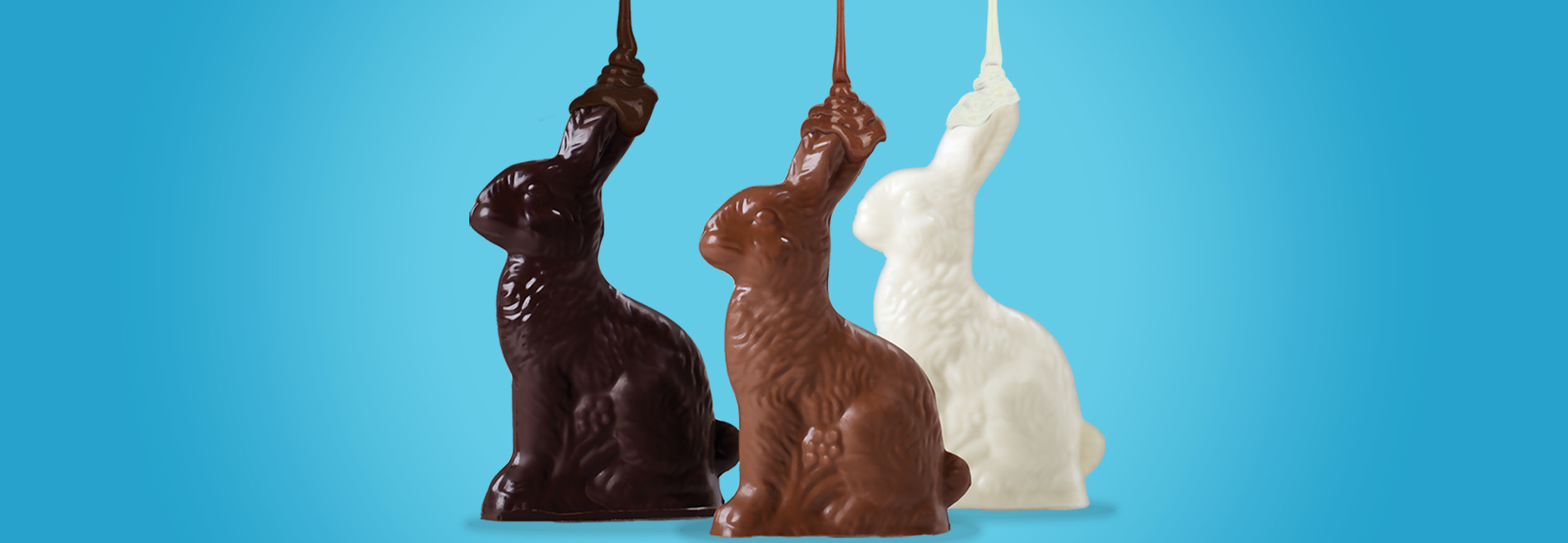 Walker’s Chocolates Specialty handmade chocolates in Burlington, Ontario